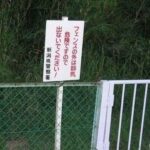 レス3番の画像1