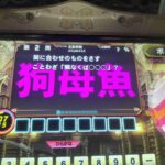 レス13番の画像1