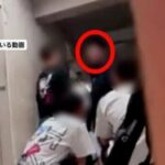 レス1番のリンク先のサムネイル画像