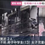 レス1番のリンク先のサムネイル画像