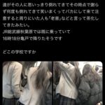 レス1番の画像1