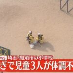 レス1番のリンク先のサムネイル画像