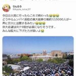 レス2番の画像1