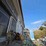 レス8番の画像2