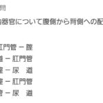 レス3番の画像1