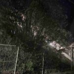 レス5番の画像1