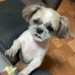 レス31番の画像1