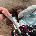 レス1番の画像2