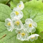 レス4番の画像1