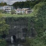 レス6番の画像2