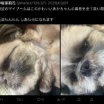 レス2番の画像4