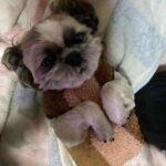 レス25番の画像1