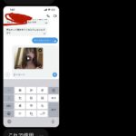 レス19番の画像1