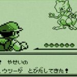 レス22番の画像3