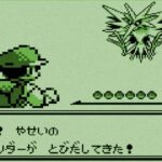 レス6番の画像3