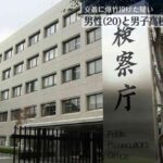 レス1番のリンク先のサムネイル画像