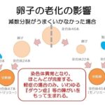 レス9番の画像2