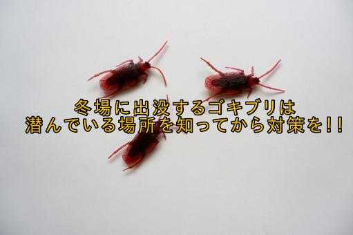 記事サムネイル