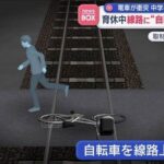 レス2番のリンク先のサムネイル画像