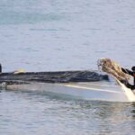 レス1番のリンク先のサムネイル画像