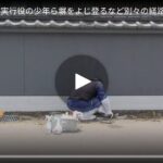 レス4番の画像1