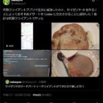 レス3番の画像1