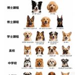 レス2番の画像1