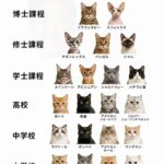 レス53番の画像1