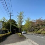 レス1番のリンク先のサムネイル画像