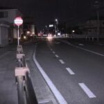 レス1番のリンク先のサムネイル画像