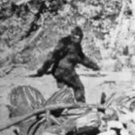 レス2番の画像1