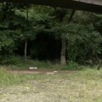 レス1番のリンク先のサムネイル画像