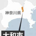 レス1番のリンク先のサムネイル画像