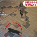 レス1番の画像4