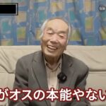 レス2番の画像3