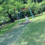 レス5番の画像3