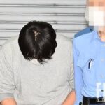 レス1番のリンク先のサムネイル画像