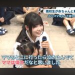 レス2番の画像4