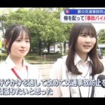 レス2番の画像1