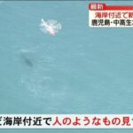 レス1番のリンク先のサムネイル画像