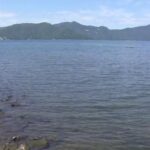 レス1番のリンク先のサムネイル画像