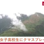レス1番のリンク先のサムネイル画像
