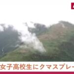 レス1番のリンク先のサムネイル画像
