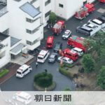 レス1番のリンク先のサムネイル画像