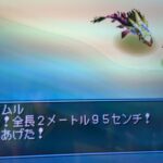 レス2番の画像1