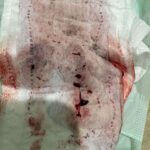 レス15番の画像1
