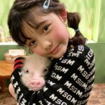 レス31番の画像2