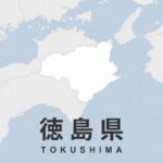 レス2番のリンク先のサムネイル画像