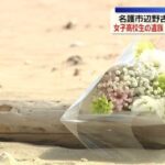 レス1番のリンク先のサムネイル画像