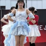 レス2番の画像8